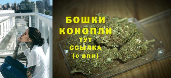 гашик Белокуриха