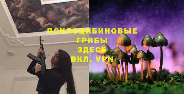гидропоника Беломорск