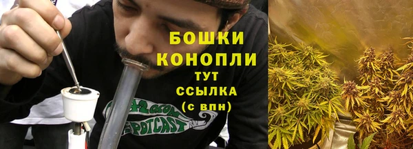гашик Белокуриха