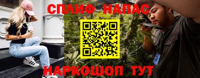 стаф Абинск