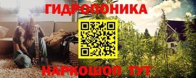 гидра Волжск