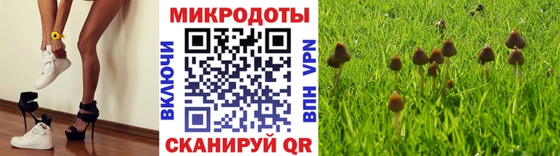 OMG ссылка  Городец  Псилоцибиновые грибы MAGIC MUSHROOMS 