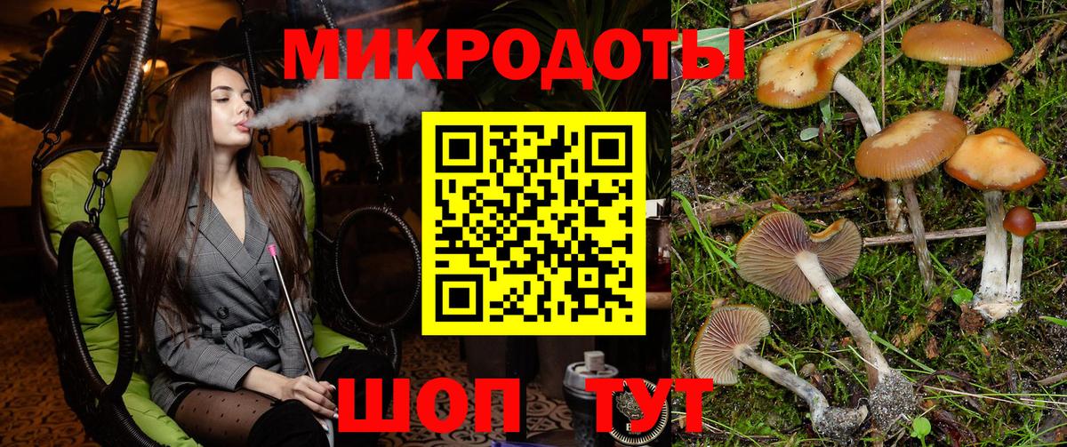Городец  Галлюциногенные грибы ЛСД  Вход с VPN 