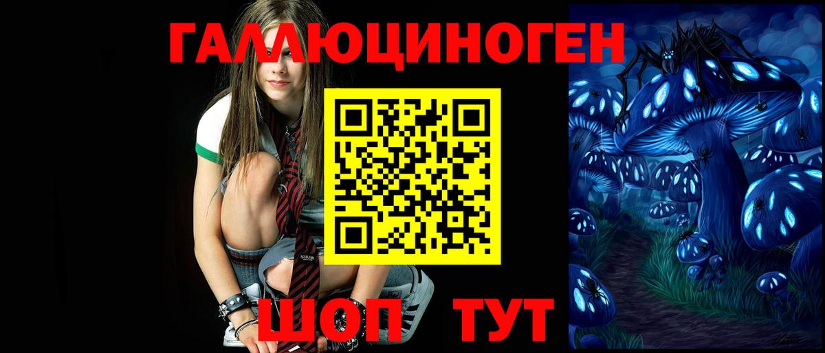 Псилоцибиновые грибы GOLDEN TEACHER Городец